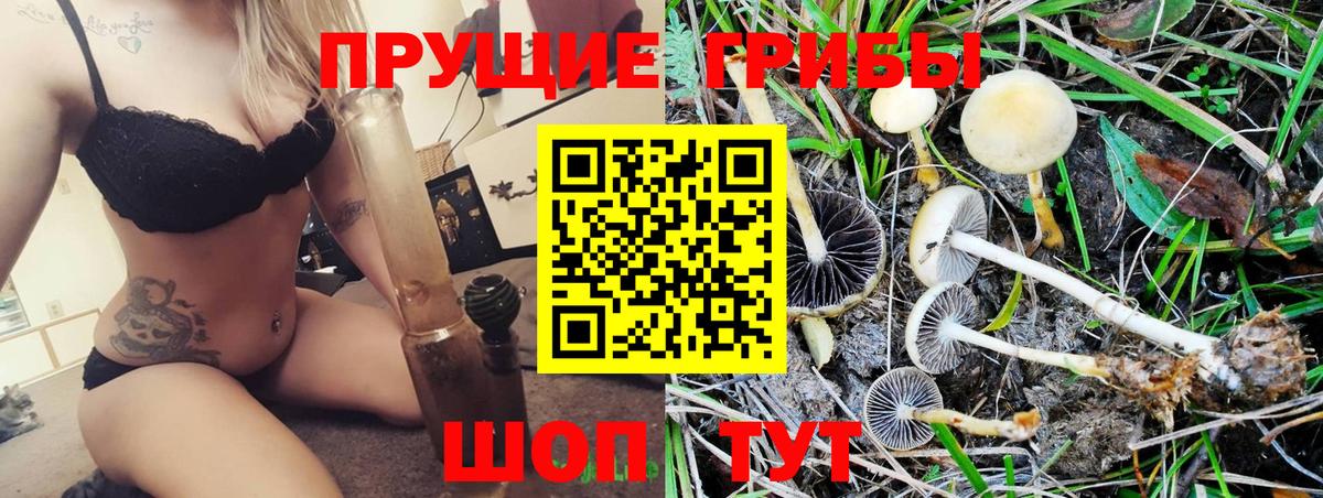 Псилоцибиновые грибы MAGIC MUSHROOMS  Вход с VPN  Волжск 