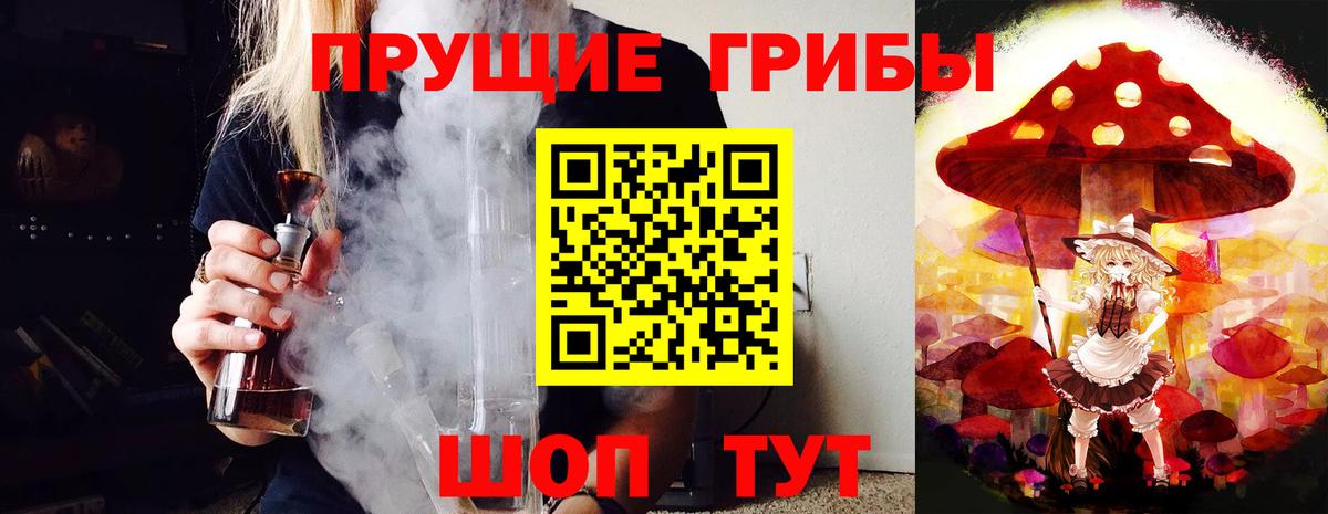 Галлюциногенные грибы Psilocybe Волжск